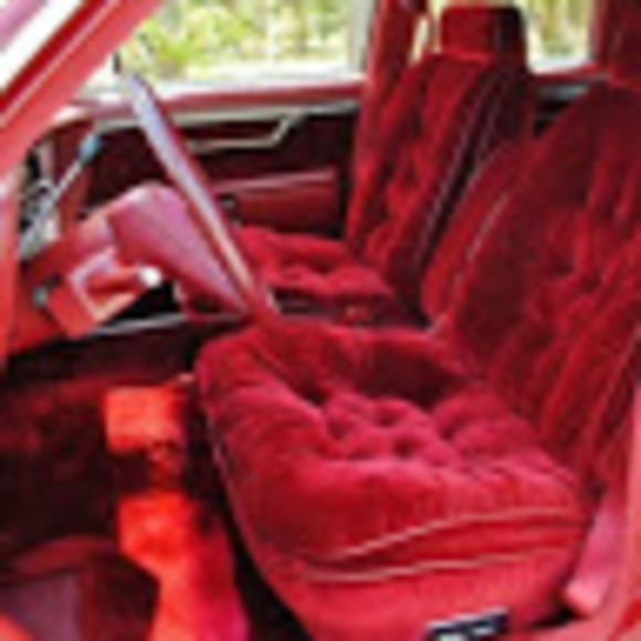 Meet your Posher, Sophia - Picture 1 of 1